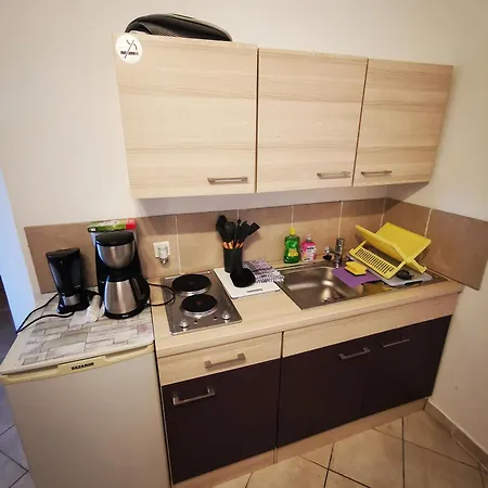 Apartment Busic *